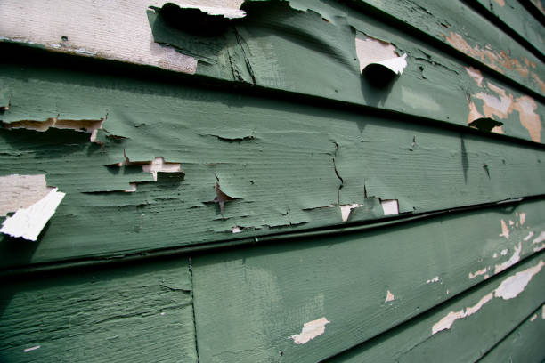 Best Siding Painting and Refinishing  in Concord, AL