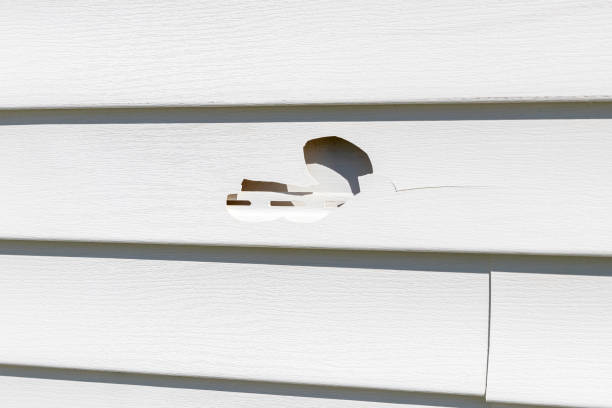 Best Fiber Cement Siding Installation  in Concord, AL